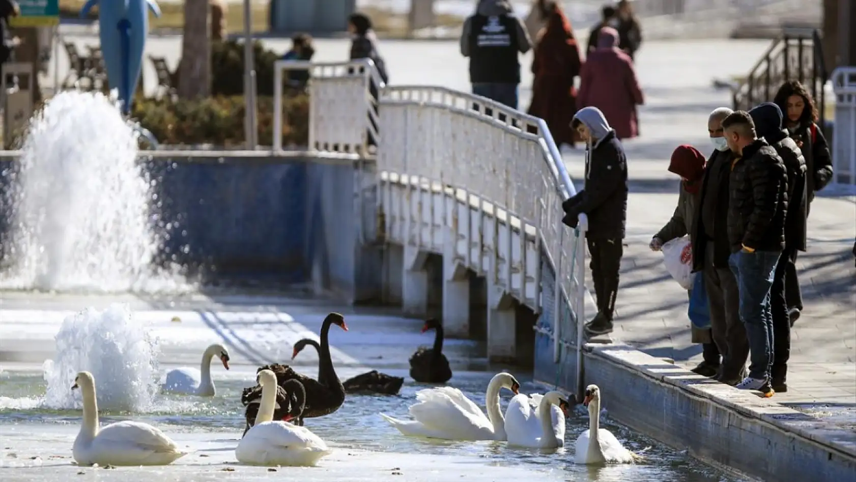 Konya'da don yerini yağmura bırakıyor! O günlere hazırlıklı olun