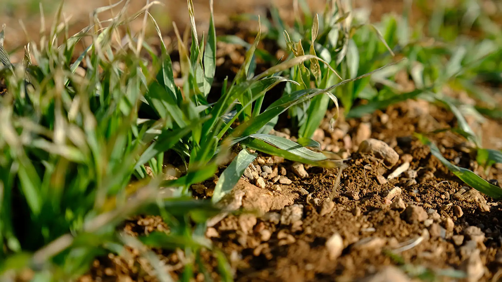 Bu yağışlar Konya için yeterli mi? Başkan Kavuneker yanıtladı...