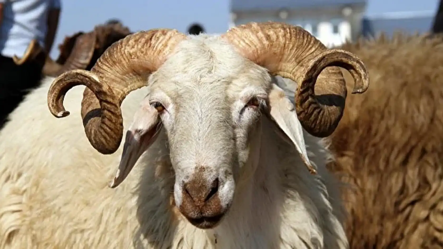 Bayrama kaç gün kaldı, Kurban Bayramı ne zaman başlıyor?