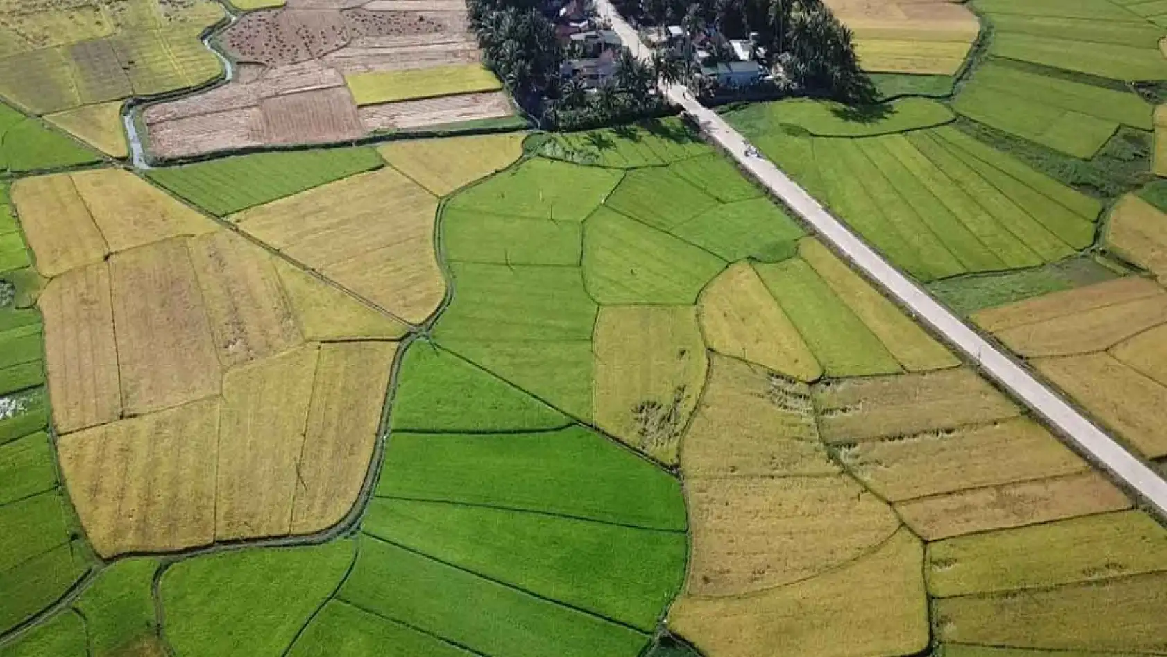 Yatırım yapmak isteyenler müjde! Konya'da asgari ücret fiyatına arsa fırsatı!