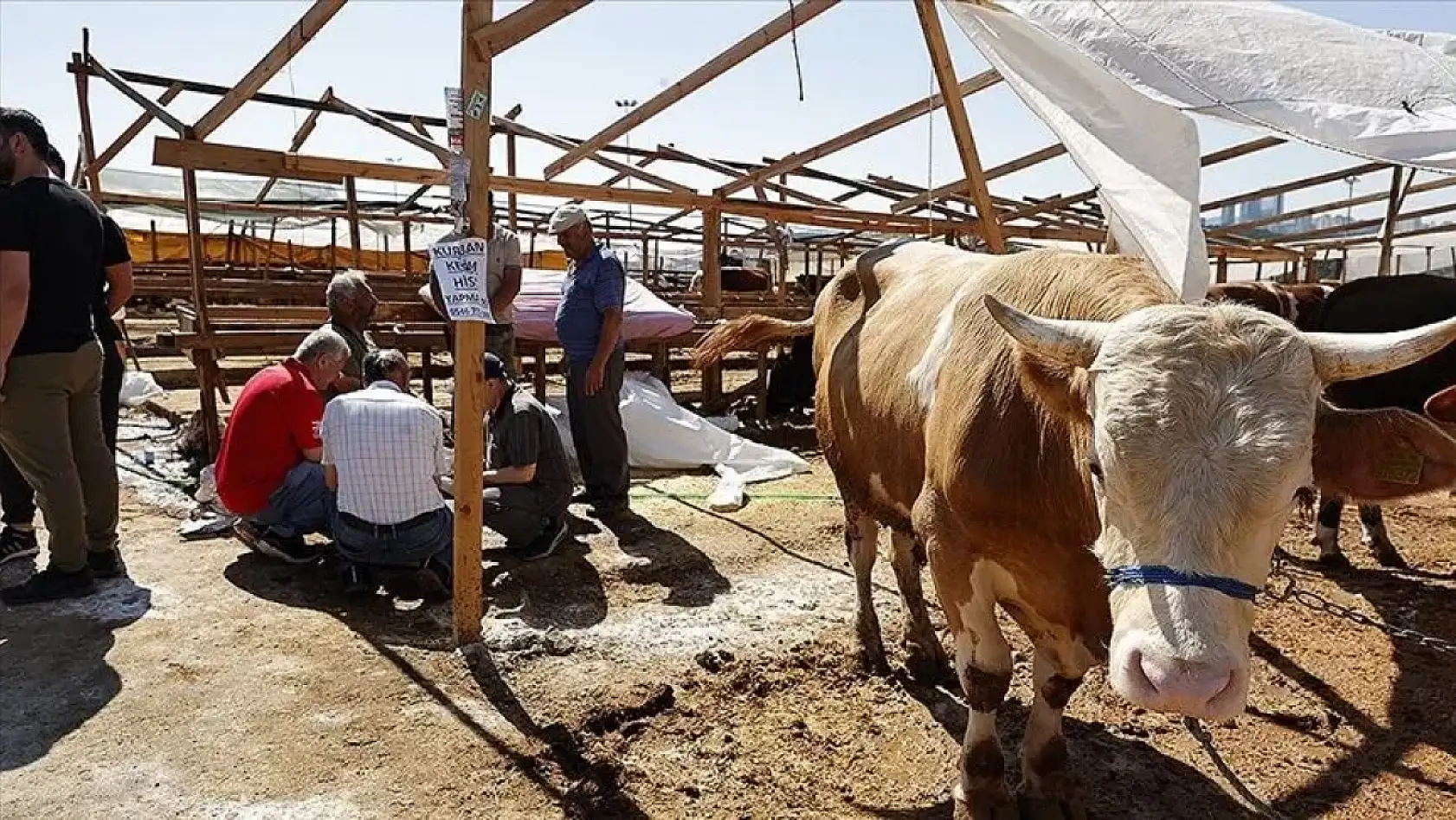 Konya'da kurban kesim yerleri netleşti! İşte ilçe ilçe tam liste...