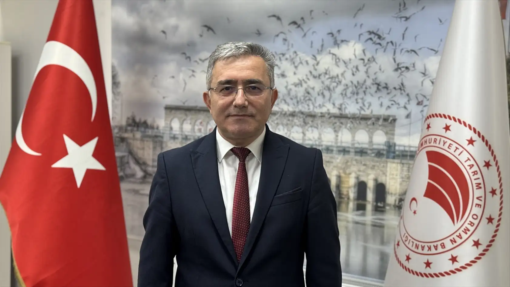Konya'nın sulak alanlarında görsel şölen: 153 bin su kuşu sayıldı!
