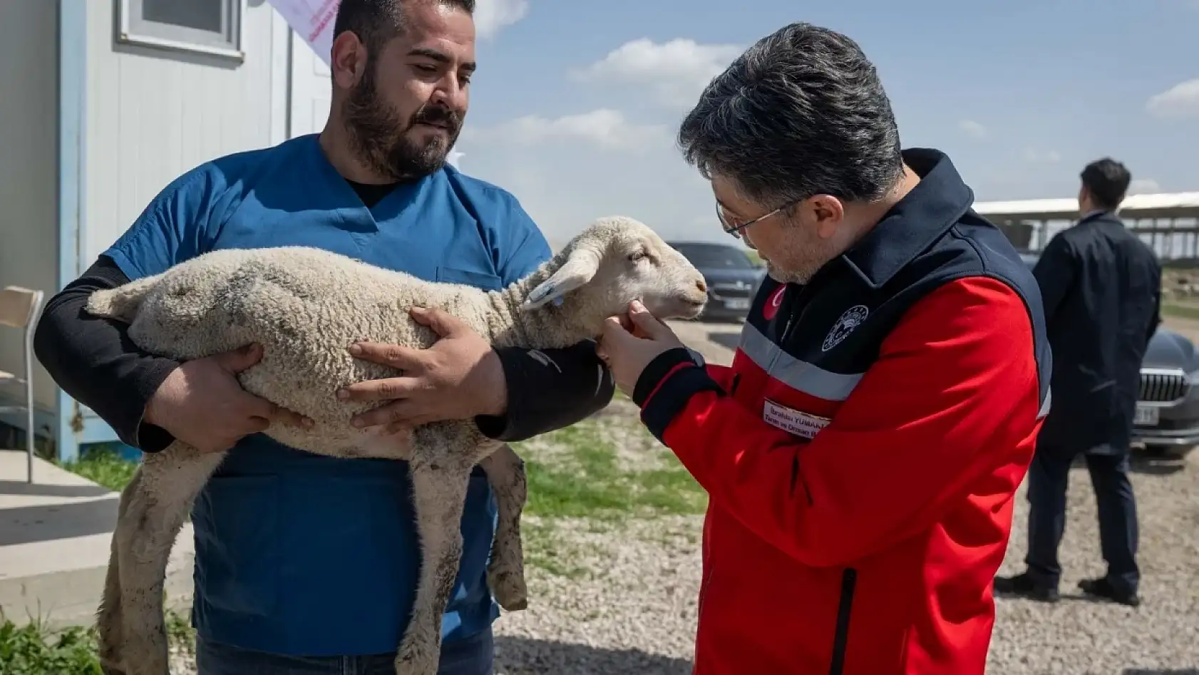 Üreticilere müjde! 150 bin küçükbaş için başvurular başladı: Son günü kaçırmayın