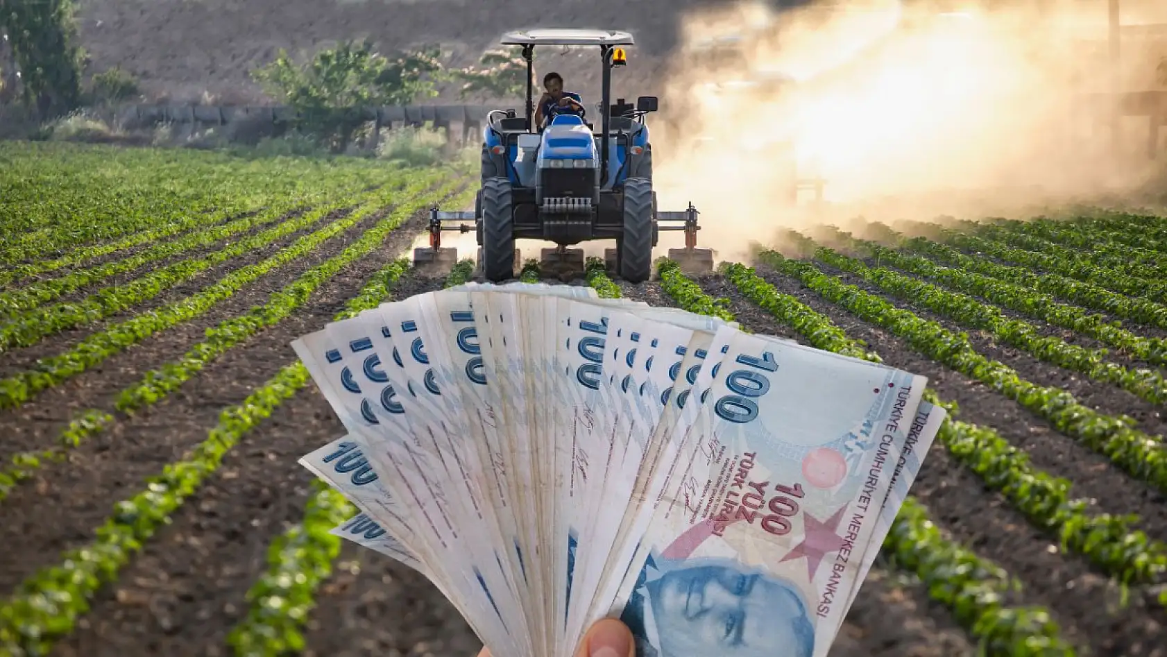 Kaçıranlar için son şans! Bakan Yumaklı çiftçiye destek müjdesini verdi!