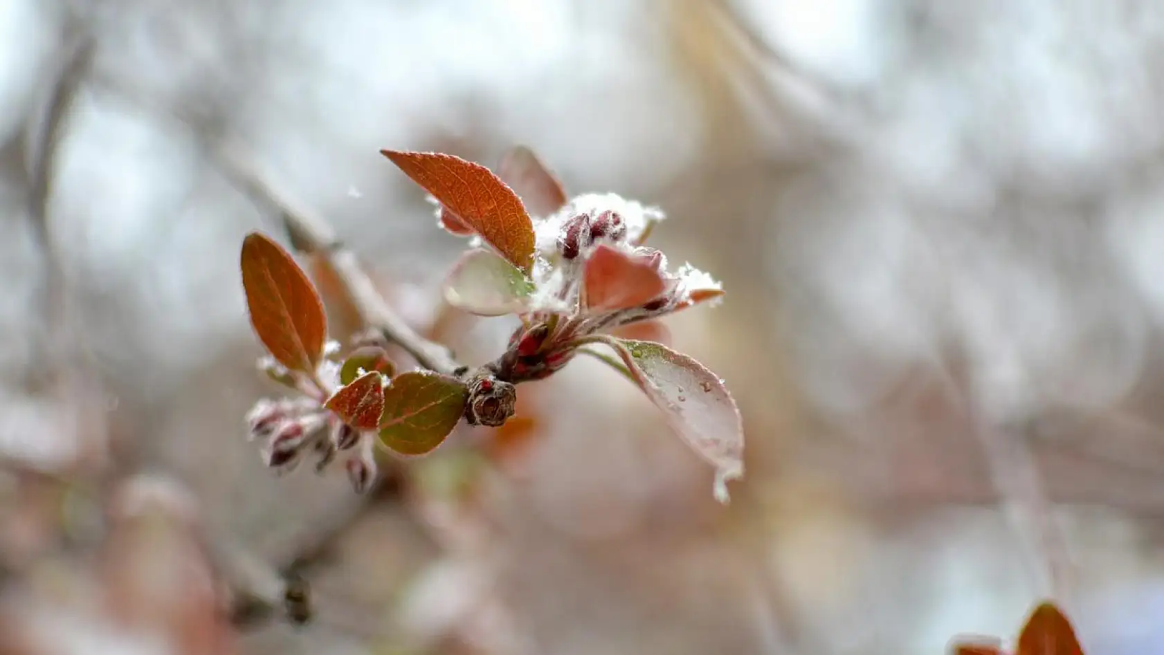 Karadeniz soğuğu Konya'yı esir alacak! Bu sefer uzun sürecek