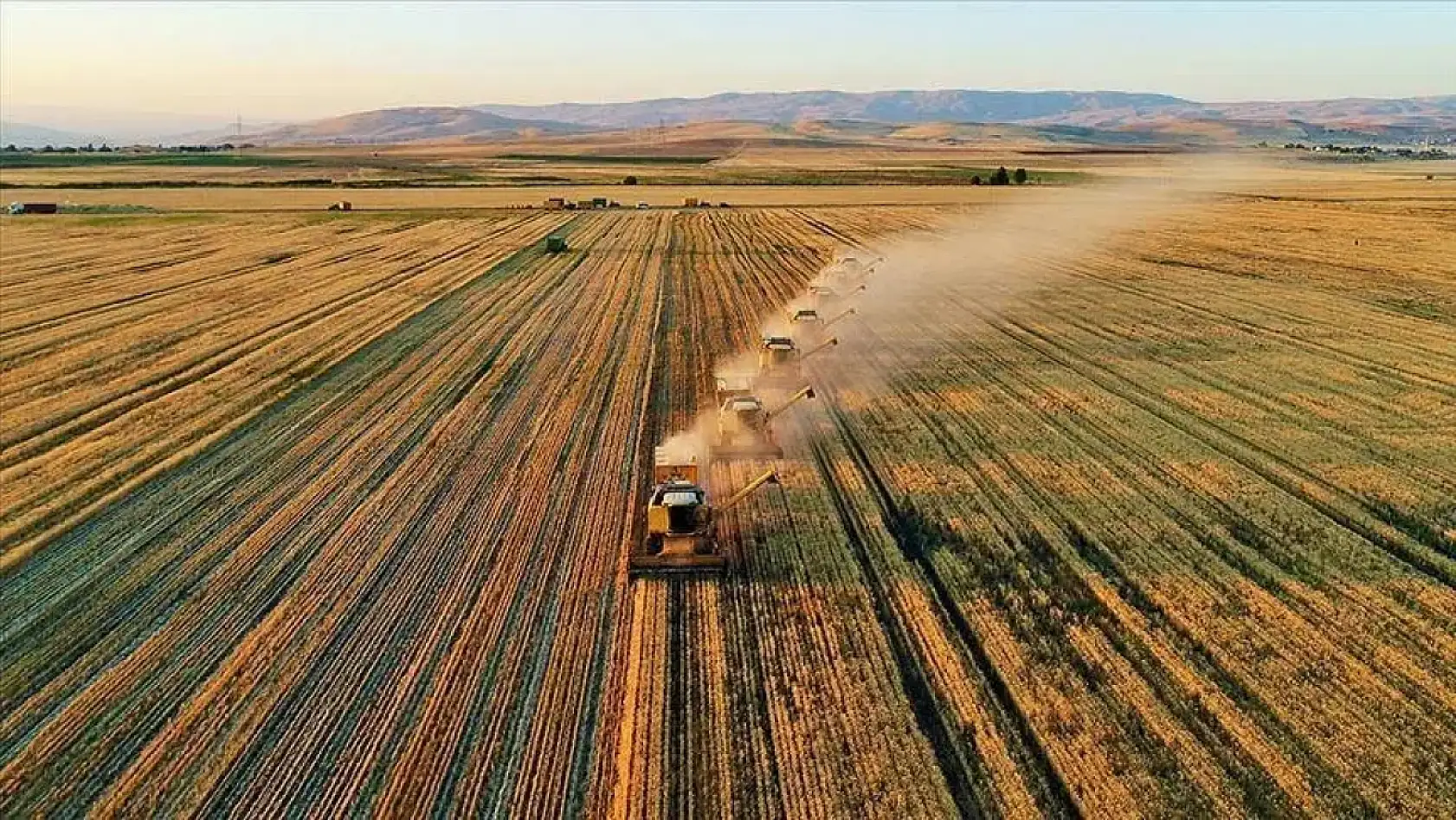 Kaçıranlar için son şans! Bakan Yumaklı çiftçiye destek müjdesini verdi!