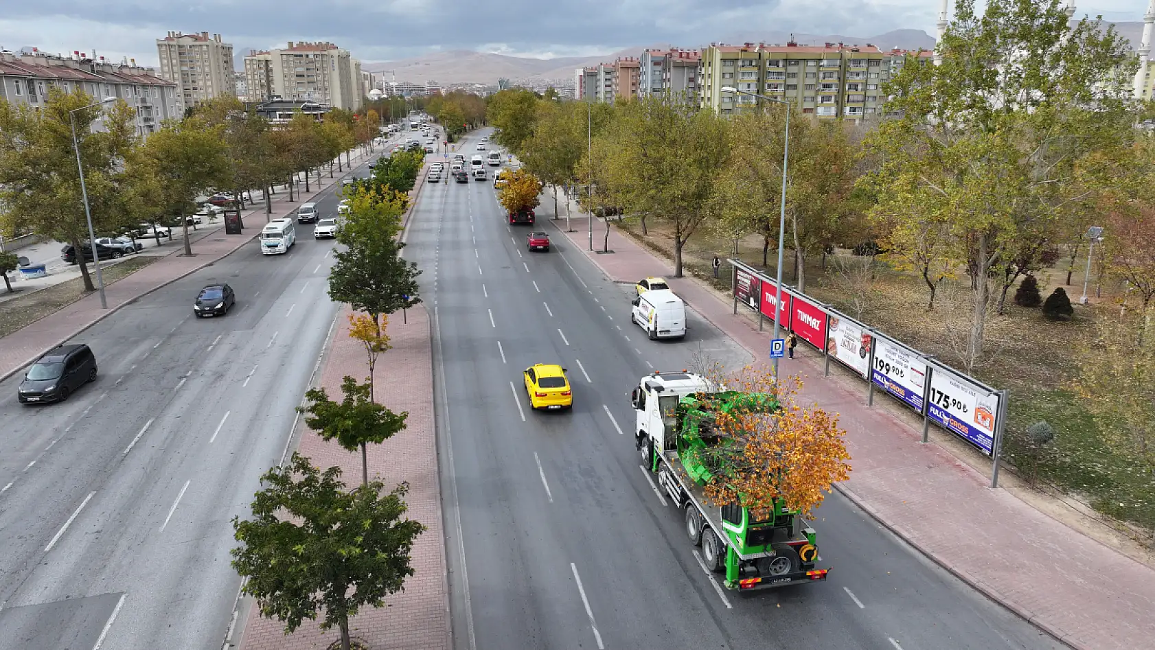 Konya'da alkışlanacak hareket: Ağaçlar kökleriyle taşındı!