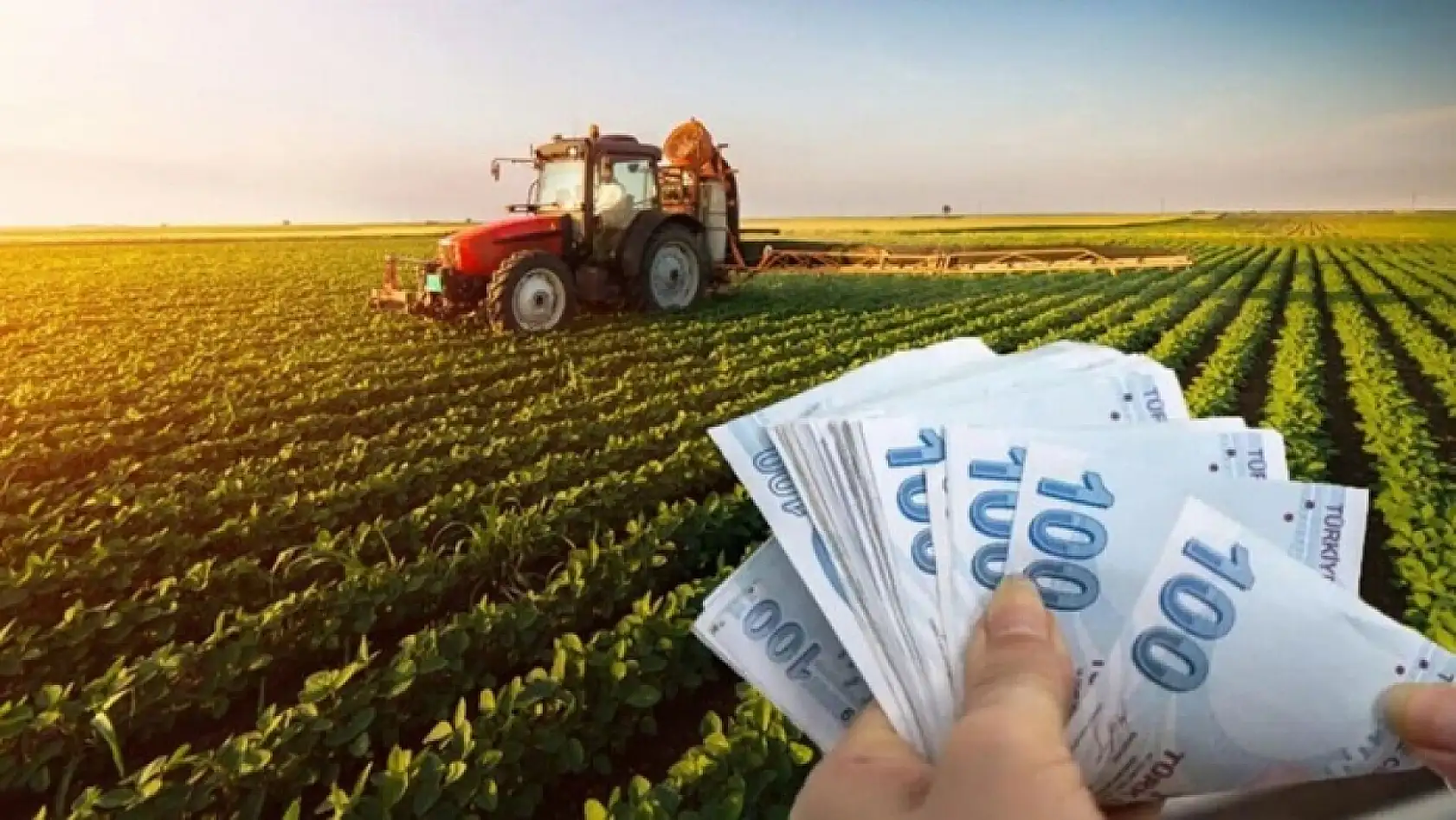 Kaçıranlar için son şans! Bakan Yumaklı çiftçiye destek müjdesini verdi!