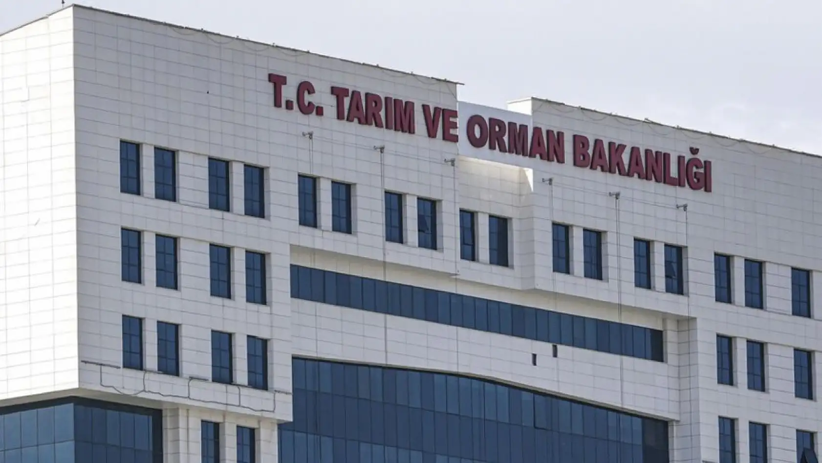Konya'da gıda skandalı! Bakanlık ifşa etti: Etlerin içinden öyle şeyler çıktı ki...