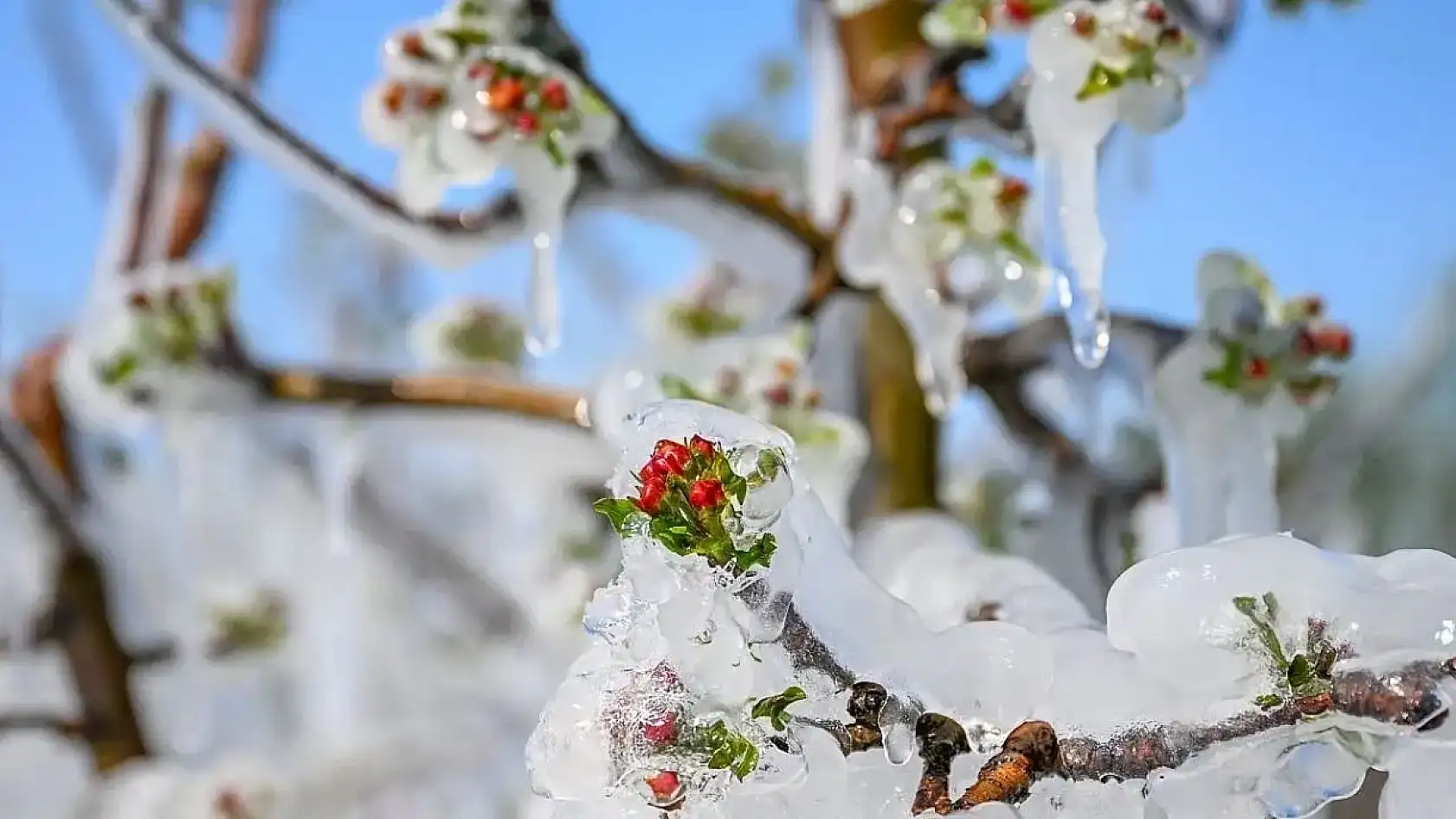 Konya'da kış sertleşiyor, -14 dereceye kadar düşecek! Kar yağışı, sis, don...