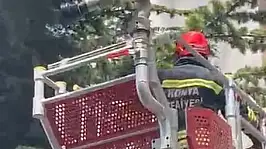 Konya'da ağaçta mahsur kalan kediyi itfaiye kurtardı