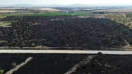 Konya'da alevler rüzgarla büyüdü: 150 dekarlık ağaçlık alan ziyan oldu!