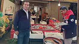 Konya'da balık satış noktaları mercek altında!