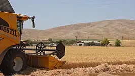 Konya'da çiftçinin yüzü yağışlarla güldü
