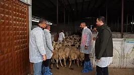 Konya'da kesimhanelere hijyen denetimi!