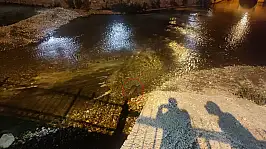 Konya'da su samuru görüldü