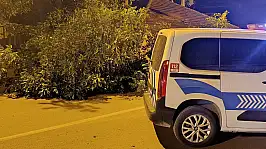 Konya'da yola devrilen ağaç ulaşımı kısıtladı!