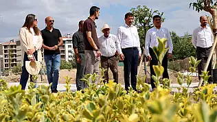 Karatay'da yeşil dönüşüm genişliyor!