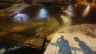 Konya'da su samuru görüldü