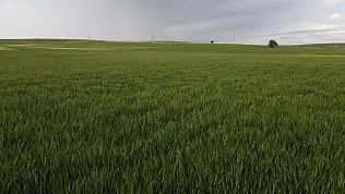 Konya'ya bereket geldi