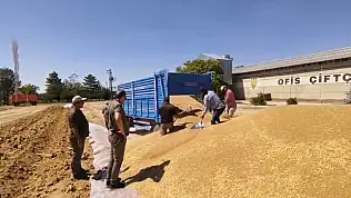 TMO Konya'da tarihi rekor: 92 noktada 2 milyon ton ürün teslim alındı!