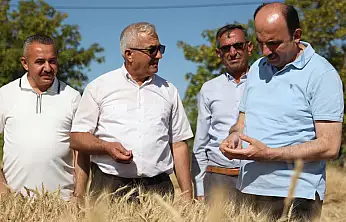 Başkan Altay Altınekin'de çiftçilerle hasat yaptı, çocukların neşesine ortak oldu!