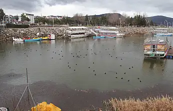 Gembos doldu taştı: Beyşehir gölü eski seviyesine mi dönüyor?