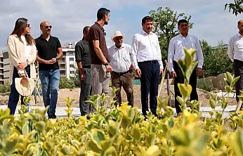 Karatay'da yeşil dönüşüm genişliyor!
