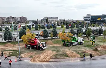 Konya'da alkışlanacak hareket: Ağaçlar kökleriyle taşındı!