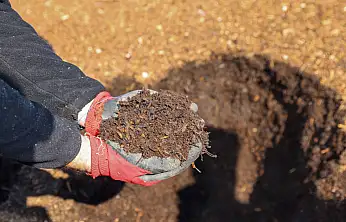 Konya'da çöpten gelen mucize! Selçuklu'nun bu projesi geleceğe nefes olacak