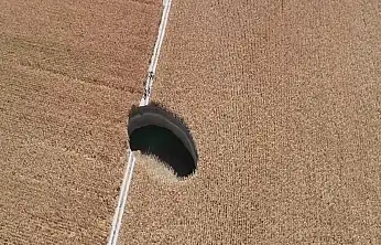 Konya'da doğa alarm veriyor! Sayıları 657'ye ulaştı