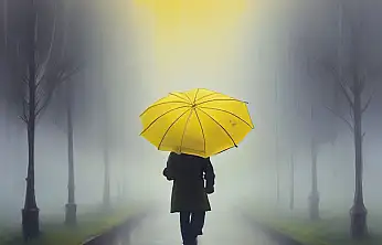 Konya'da don yerini yağmura bırakıyor! O günlere hazırlıklı olun