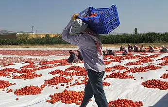 Konya'da eğitim yılında korkunç tablo: 3 çocuk iş başında can verdi!