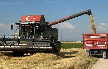 Konya'da hasat zamanı! İlk görüntüler maşallah dedirtti!