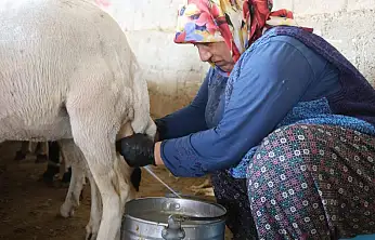 Konya'da kırsalda kadının emeği ekonomiye can veriyor!