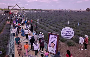 Konya'da mor şölen heyecanı: Binlerce kişi o eşsiz manzaraya akın etti!