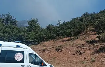Konya'da ormanlık alanda yangın çıktı: Rüzgar alevleri büyüttü!