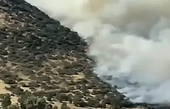 Konya'da ormanlık alanda yangın çıktı! Söndürme çalışmaları sürüyor