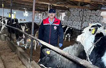 Konya'da şap ve brusella operasyonu: İkinci doz aşılar başladı!