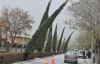 Konya'da yaz ortasında sonbahar serinliği! Rüzgar kuvvetini artıracak!
