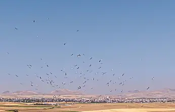 Konya'daki Düden Gölü'nde büyüleyen görüntü!