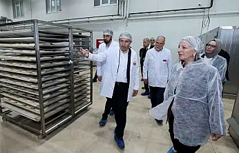 Konya'daki ekmek üretim modeli örnek oldu! Cumhurbaşkanlığı heyeti yerinde inceledi