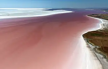 Konya sınırındaki flamingoların eşsiz yuvası pembeye boyandı!