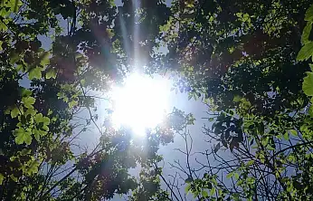 Konya'ya kısa süreli bahar geliyor! 12 dereceye kadar çıkacak