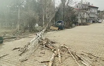 Konya'yı fırtına vurdu! Çatılar uçtu, tır devrildi!