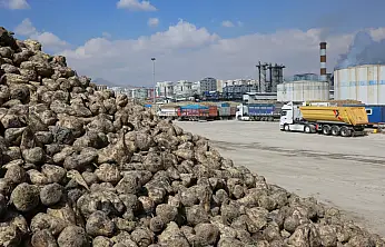 Ödeme takvimi netleşti! Konya Şeker'den beklenen o rakam açıklandı!