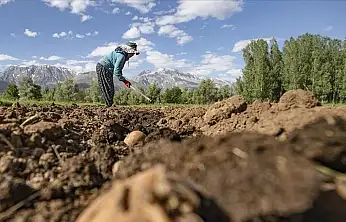 TÜİK rakamları doğruladı: Konya'da erkek nüfusu geride kaldı!