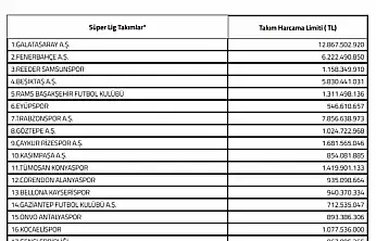 TFF, transferdeki harcama limitlerini belirledi! İşte Konyaspor'un limiti