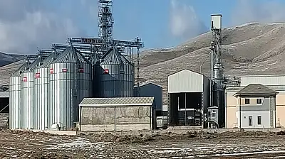 Konya'da büyük vurgun! TMO'yu 500 milyon TL dolandırıp kaçtı!