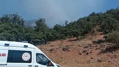 Konya'da ormanlık alanda yangın çıktı: Rüzgar alevleri büyüttü!